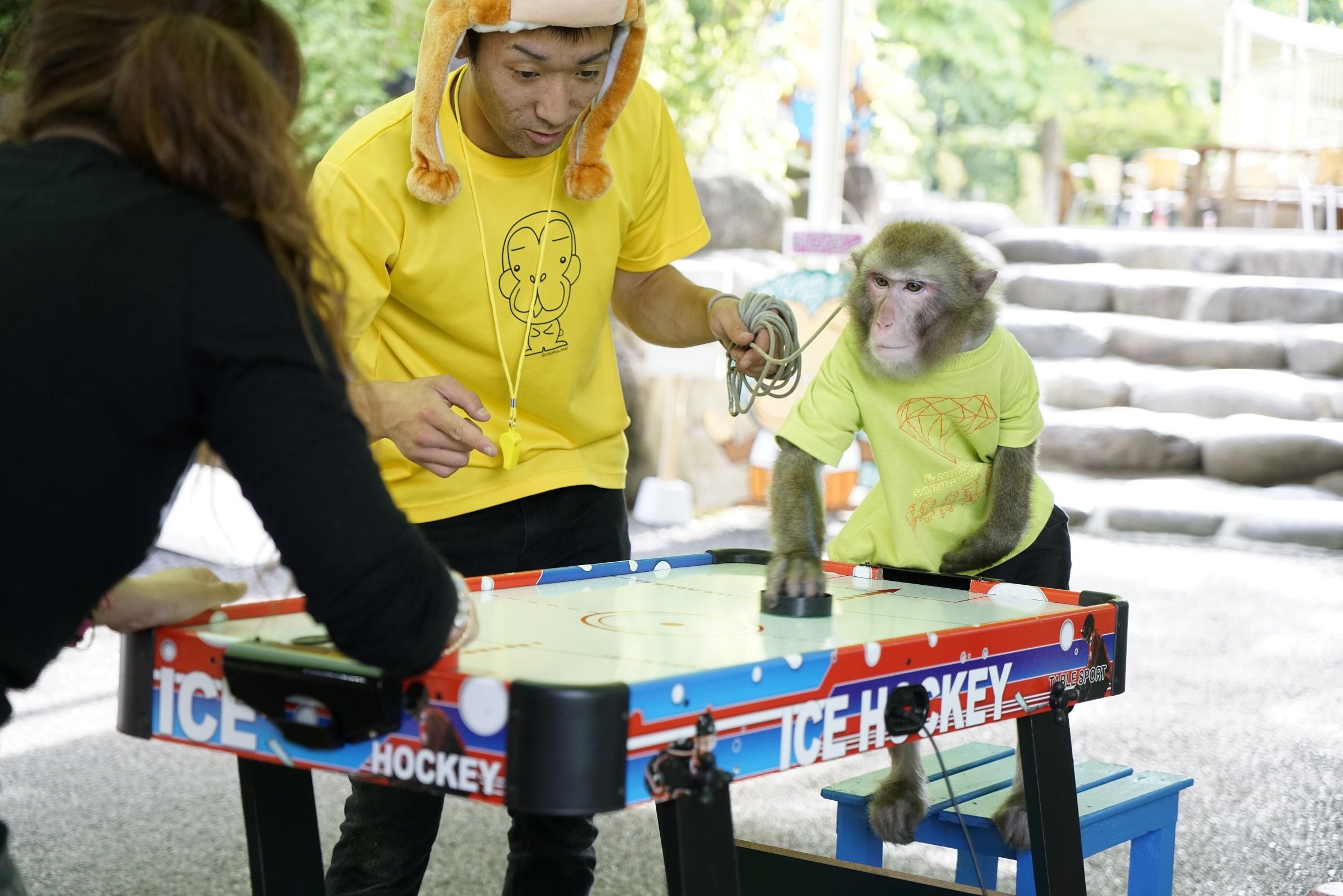 🐵 오사루 랜드 & 애니타운 (닛코 사루 군단) 이미지 5